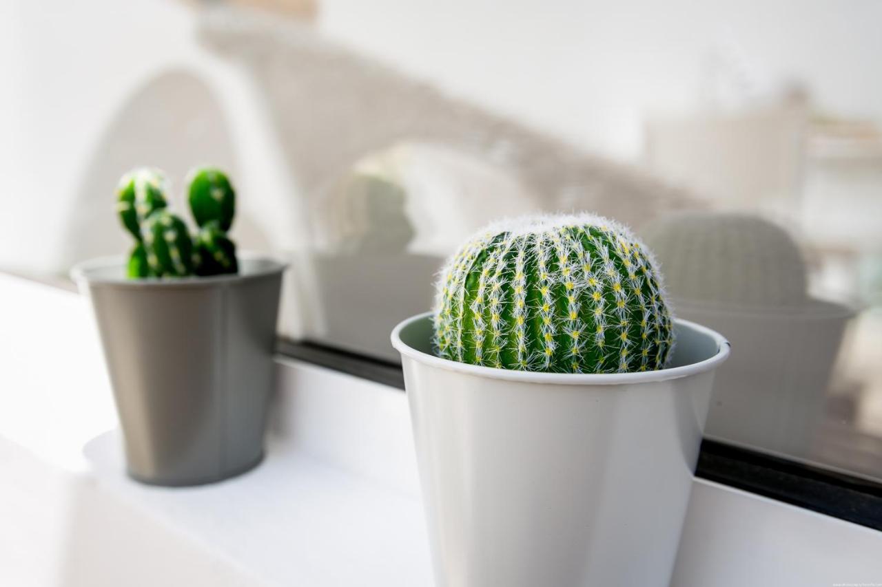 Cactus Apartment San Miguel de Abona Extérieur photo