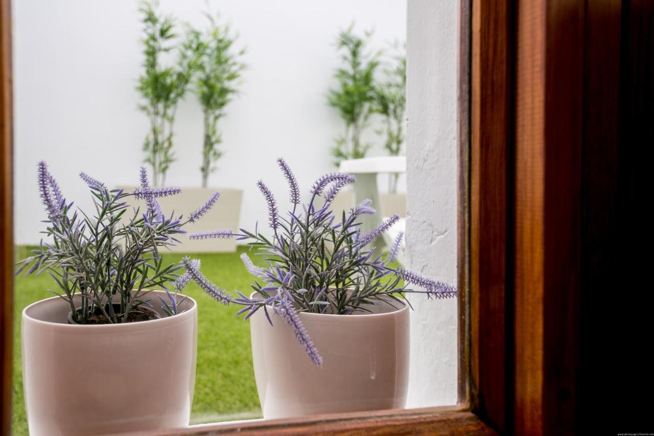 Cactus Apartment San Miguel de Abona Extérieur photo